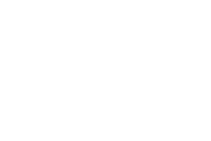 AEEG