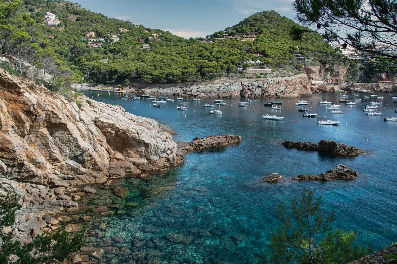 SEO — Blanes