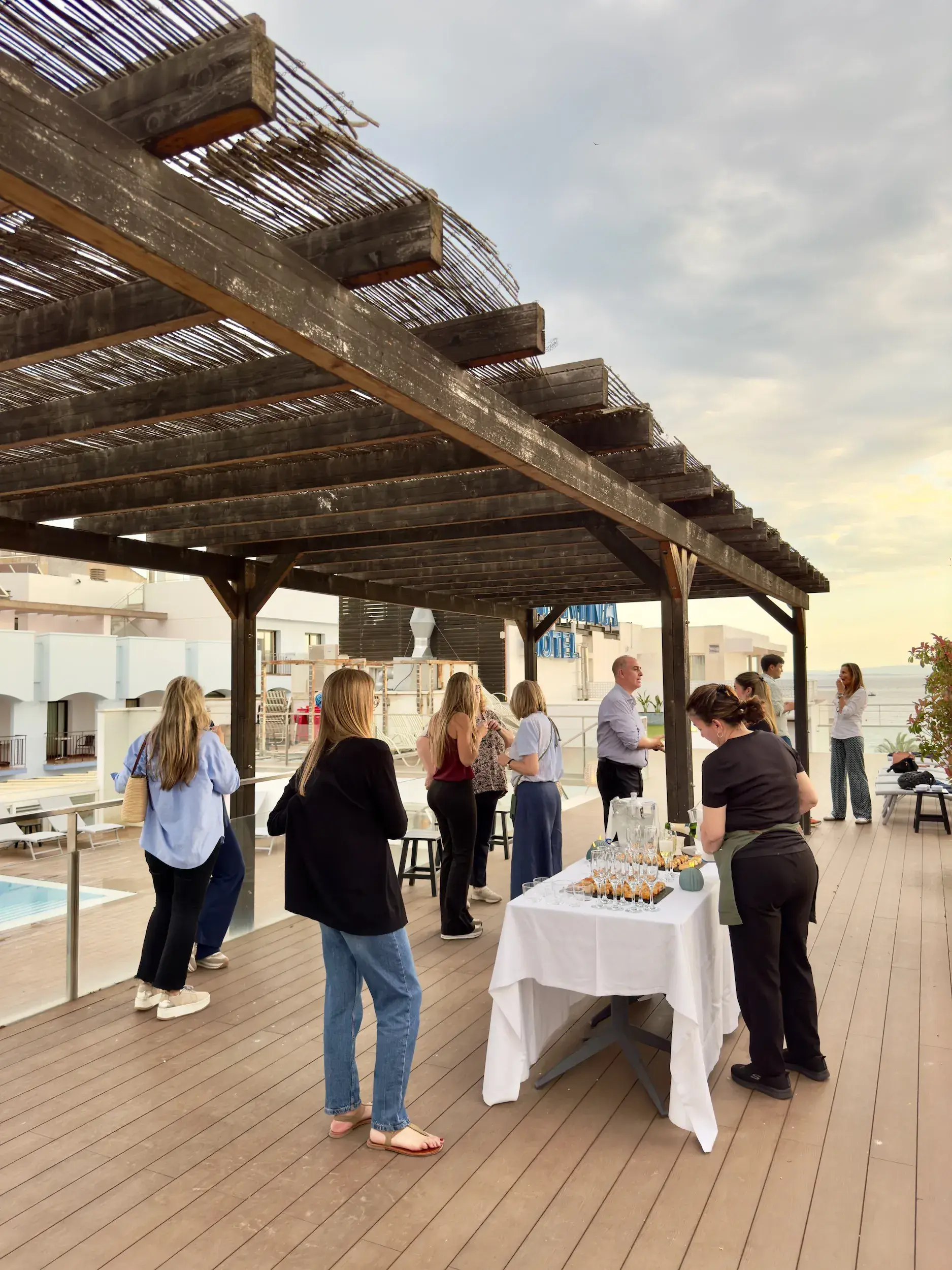 Somia Networking — Roses