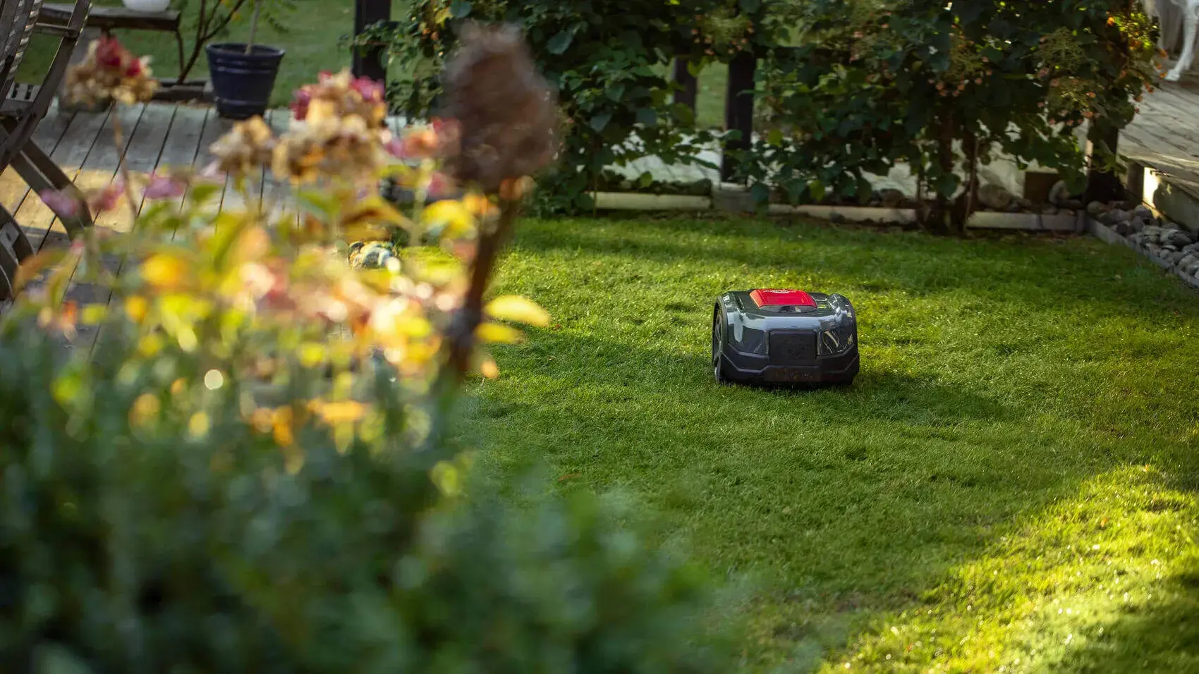 Robot Jardí — 2