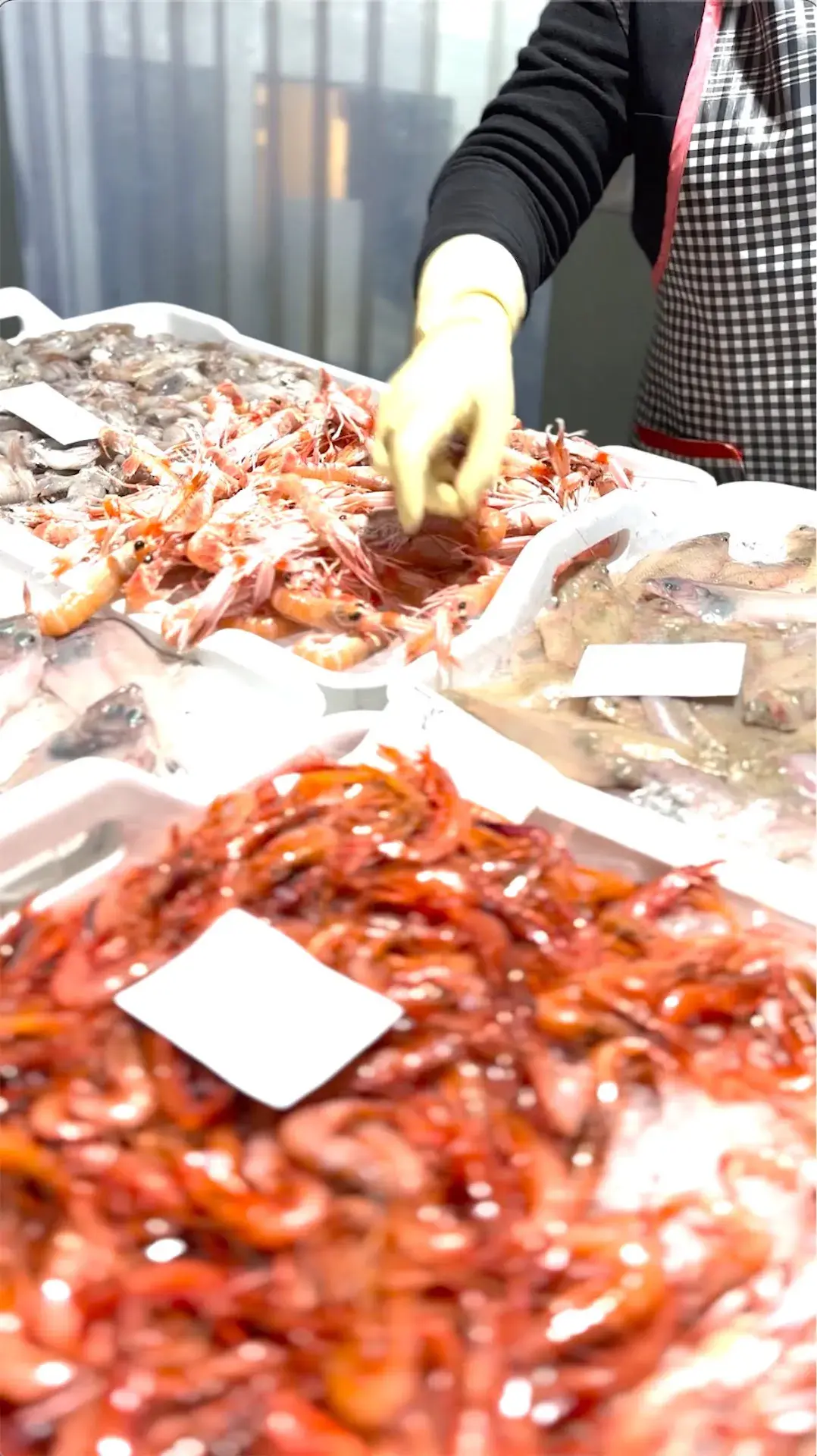 Spot Peixos Pilar - Nadal 2022 — 1
