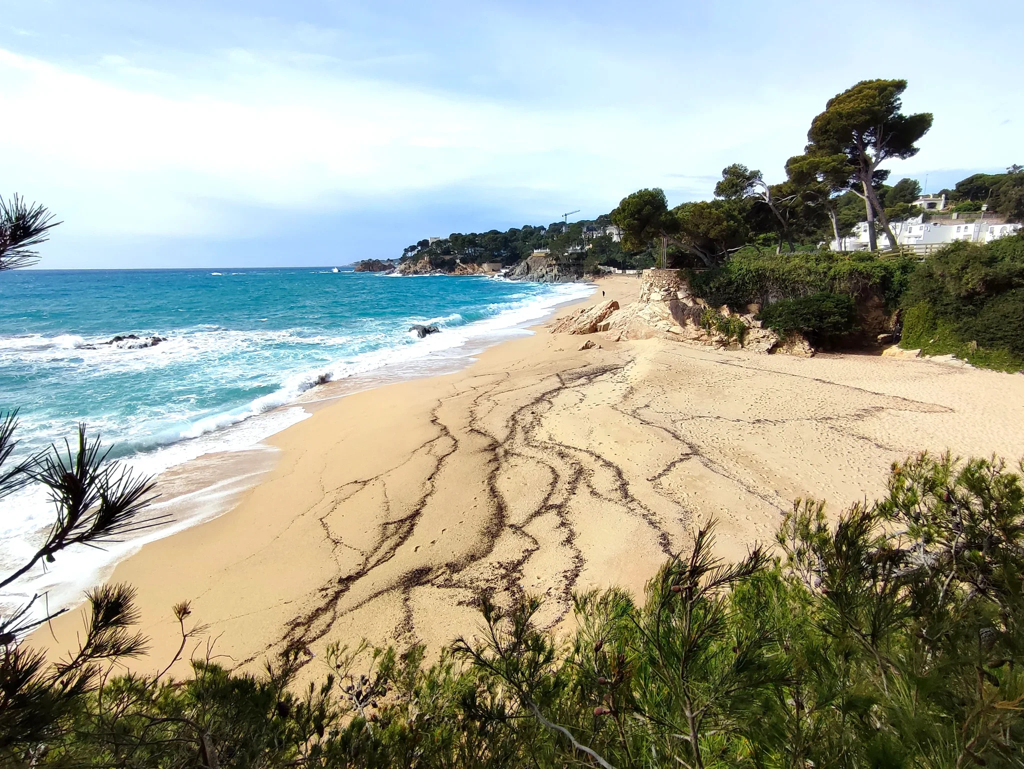 Diseño web — Calonge i Sant Antoni