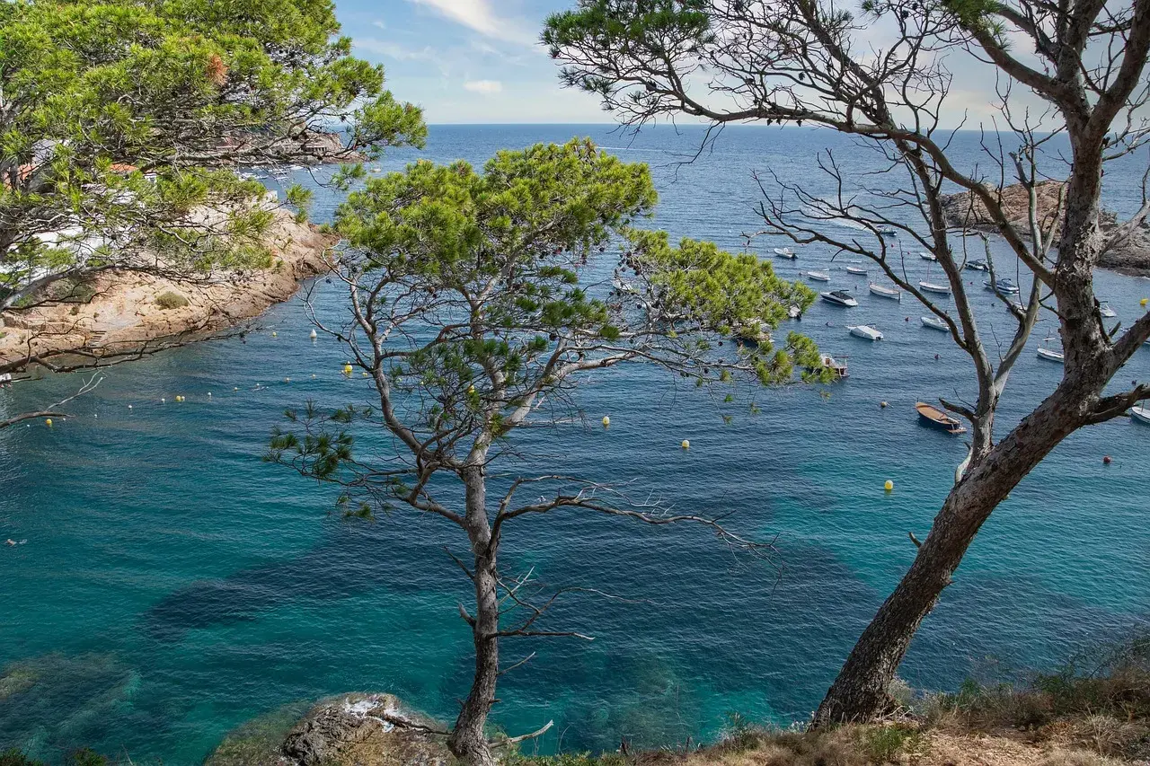 Disseny web — Begur
