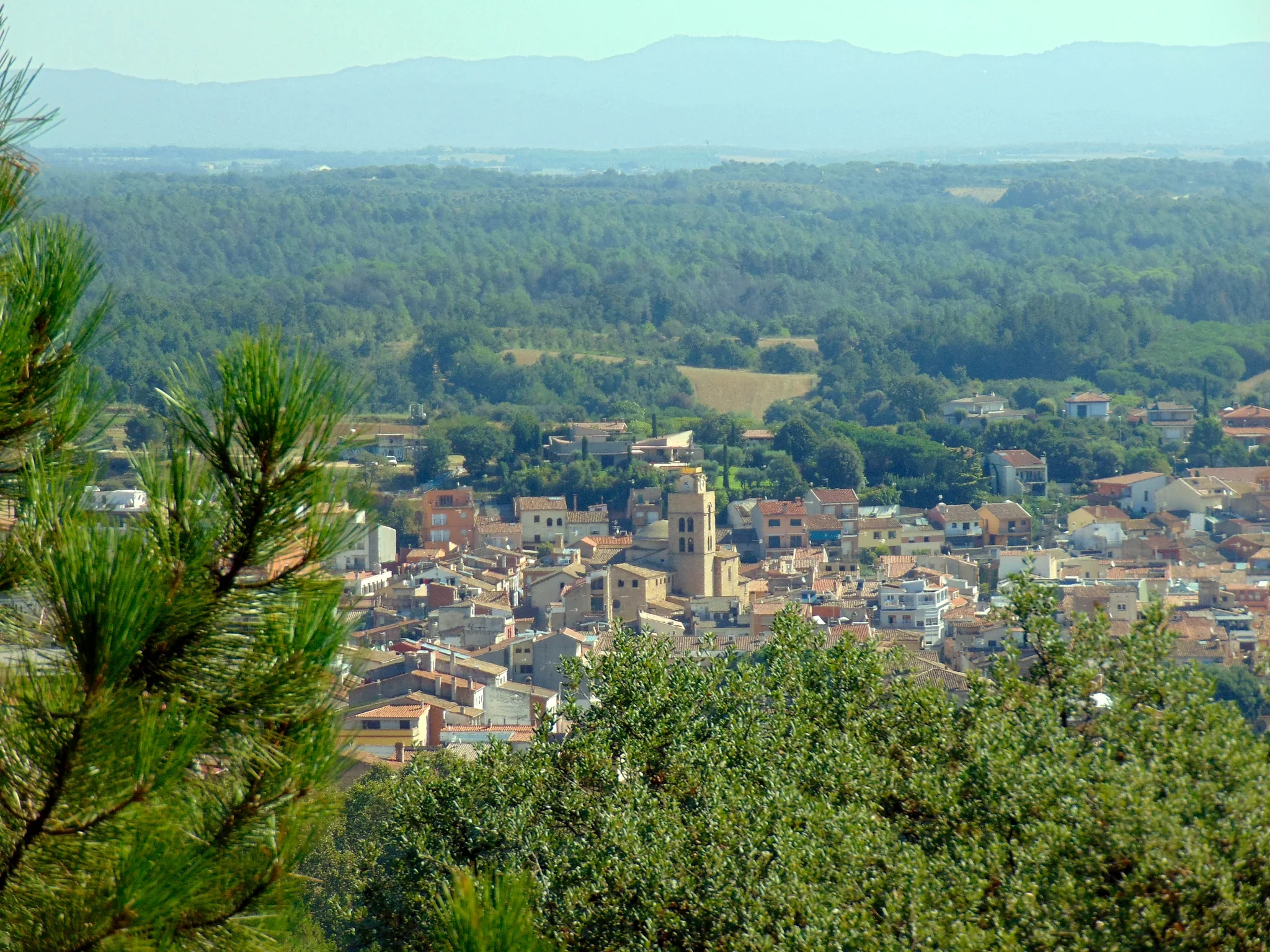 Diseño web — Santa Coloma de Farners